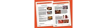 Delwedd ar gyferBanc llythrennedd: Sbaeneg / Image For Literacy Bank: Spanish